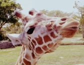 Фотография Андреевских Андрей