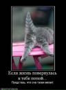 Денис Чириков фотография #13 (источник - https://vk.com/id9476982)