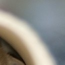 Юля Пічкар фотография #25 (источник - https://vk.com/id143598490)