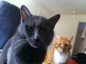 Фотография Агафошиной Екатерины