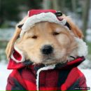 Витя Копилов фотография #16 (источник - https://vk.com/id121102449)