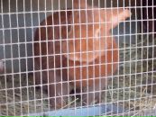 Віка Богатюк фотография #22 (источник - https://vk.com/id77462187)