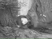 Фотография Медведевой Натальи