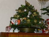 Фотография Бондаревой Светланы