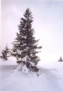 Віталій Шинкляр фотография #46 (источник - https://vk.com/id104006391)