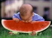 Фотография Смирнова Павла