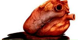 Фотография Rito Yukki