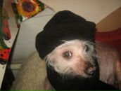 Фотография Кубаниязова Таира