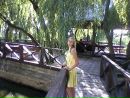 Юлія Василевська фотография #14 (источник - https://vk.com/id88290919)