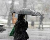 Антон Ковалевский фотография #43 (источник - https://vk.com/id1307108)