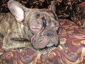 Фотография Иевлевой Юлии