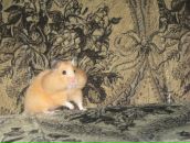 Ірина Ільющенкова фотография #50 (источник - https://vk.com/id23949152)