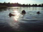 Фотография Сидорова Николая