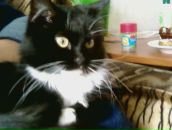 Фотография Нуреевой Вероники