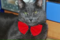 Фотография Karpova Anastasia