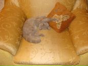 Фотография Брагиной Анастасии