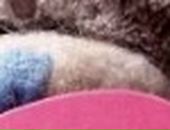 Лілюсік Калінчук фотография #44 (источник - https://vk.com/id66320175)