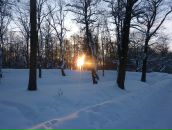 Фотография Семеновой Светланы