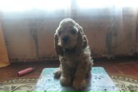 Фотография Кондратьевой Юлии