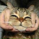 Фотография Бахтарова Виктора