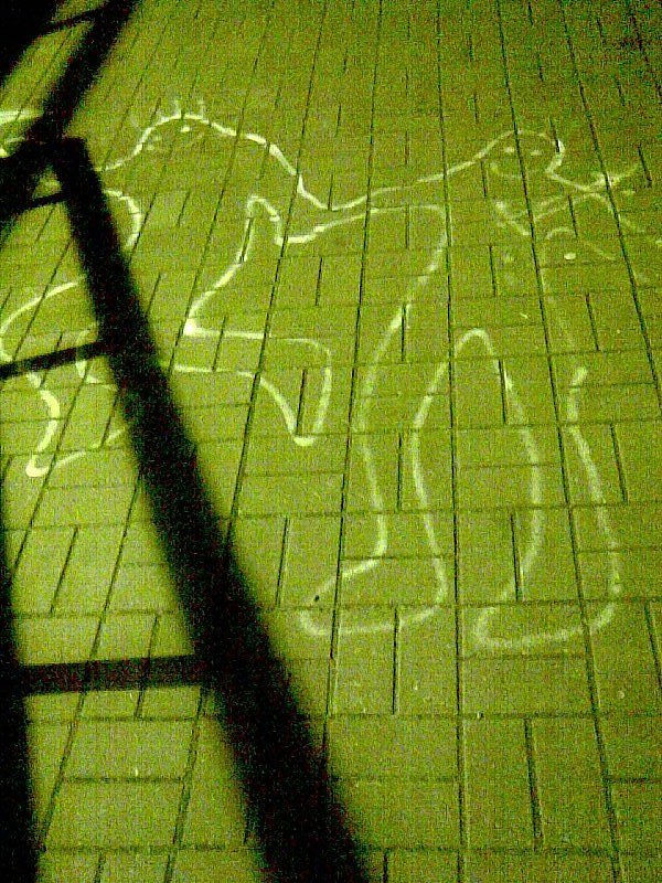 Ольга Петрова фотография #22