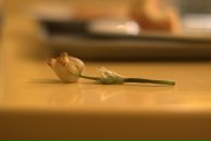 Фотография Ковалевой Екатерины