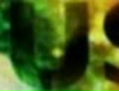 Максим Лісовський фотография #27 (источник - https://vk.com/id92939231)