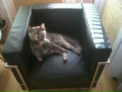 Lena Polushvedkina фотография #22 (источник - https://vk.com/id11224787)