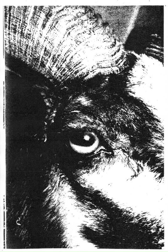 Кирилл Иванов фотография #10