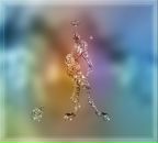 Фотография Алексеева Романа