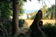 Фотография Waylove Segoriya