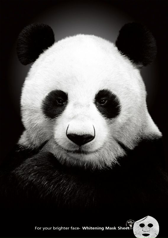 Илья Илья фотография #35