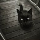 Фотография Валерьевны Анастасии