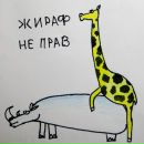 Фотография Firs Alex