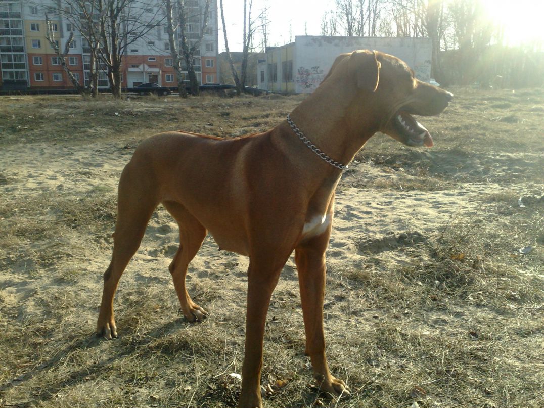 Иван Быков фотография #17
