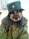 Дімон Іванов фотография #12 (источник - https://vk.com/id159682266)