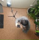 Фотография Бологова Ярослава