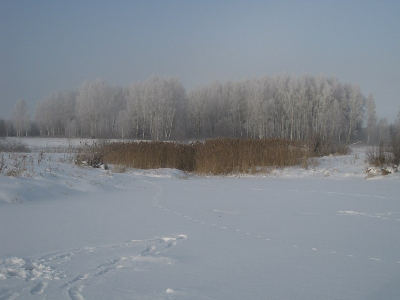 Роман Кубышкин фотография #50