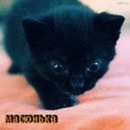 Софія Миханцьо фотография #44 (источник - https://vk.com/id142928429)