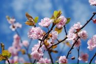 Фотография Кухаревой Вики