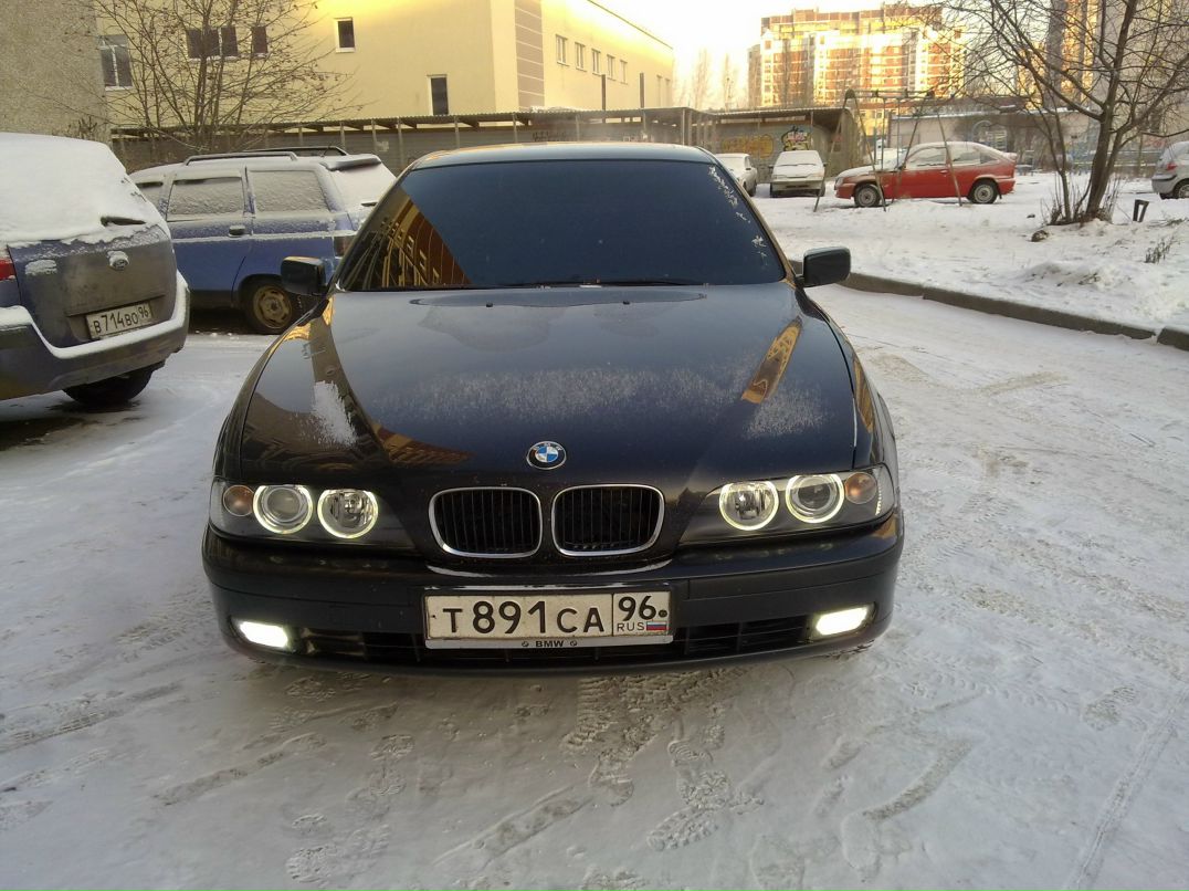 Денис Киселев фотография #24