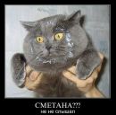 Фотография Лебедева Алексея