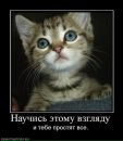 Фотография Афанасьевой Елены
