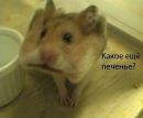 Дим Димыч фотография #24 (источник - https://vk.com/id167311256)