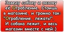Тимків Василь фотография #5 (источник - https://vk.com/id157430966)