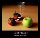 Фотография Серьёзного Георгия