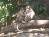 Фотография Gritsenko Elena