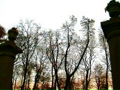Фотография Толкуновой Елены