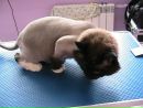 Κсения Κудрявцева фотография #37 (источник - https://vk.com/id136591194)