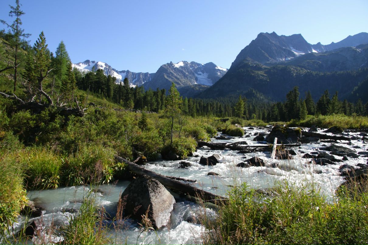 Дима Цирятьев фотография #24